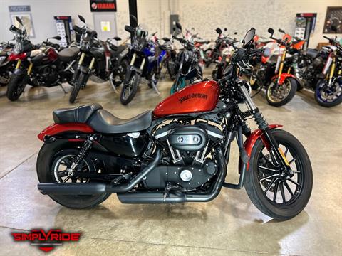 2013 Harley-Davidson Sportster® Iron 883™ in Eden Prairie, Minnesota