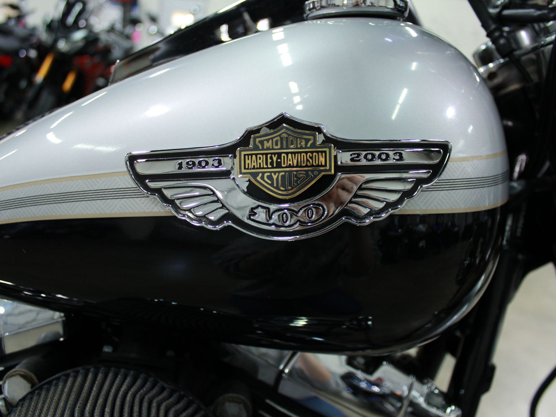 2003 Harley-Davidson FLSTF/FLSTFI Fat Boy® in Eden Prairie, Minnesota - Photo 10