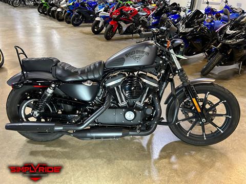 2016 Harley-Davidson Iron 883™ in Eden Prairie, Minnesota