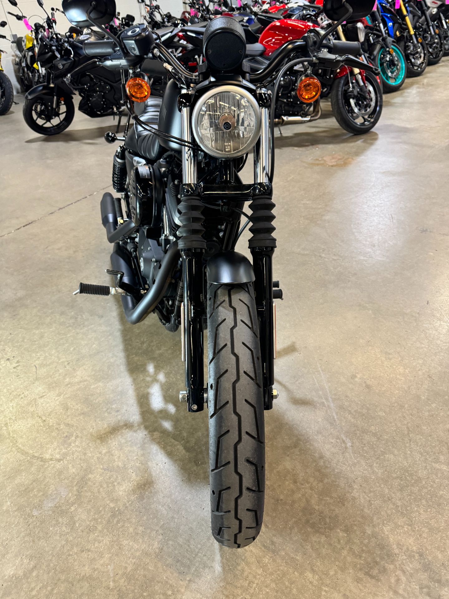 2021 Harley-Davidson Iron 883™ in Eden Prairie, Minnesota - Photo 10