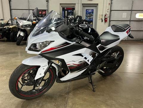 2014 Kawasaki Ninja® 300 SE in Eden Prairie, Minnesota - Photo 3