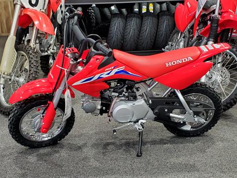2022 Honda CRF50F in Moon Township, Pennsylvania - Photo 1