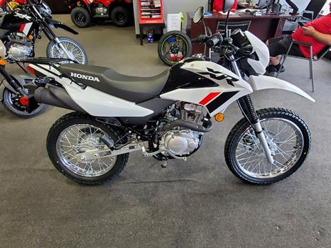 2024 Honda XR150L in Moon Township, Pennsylvania - Photo 1