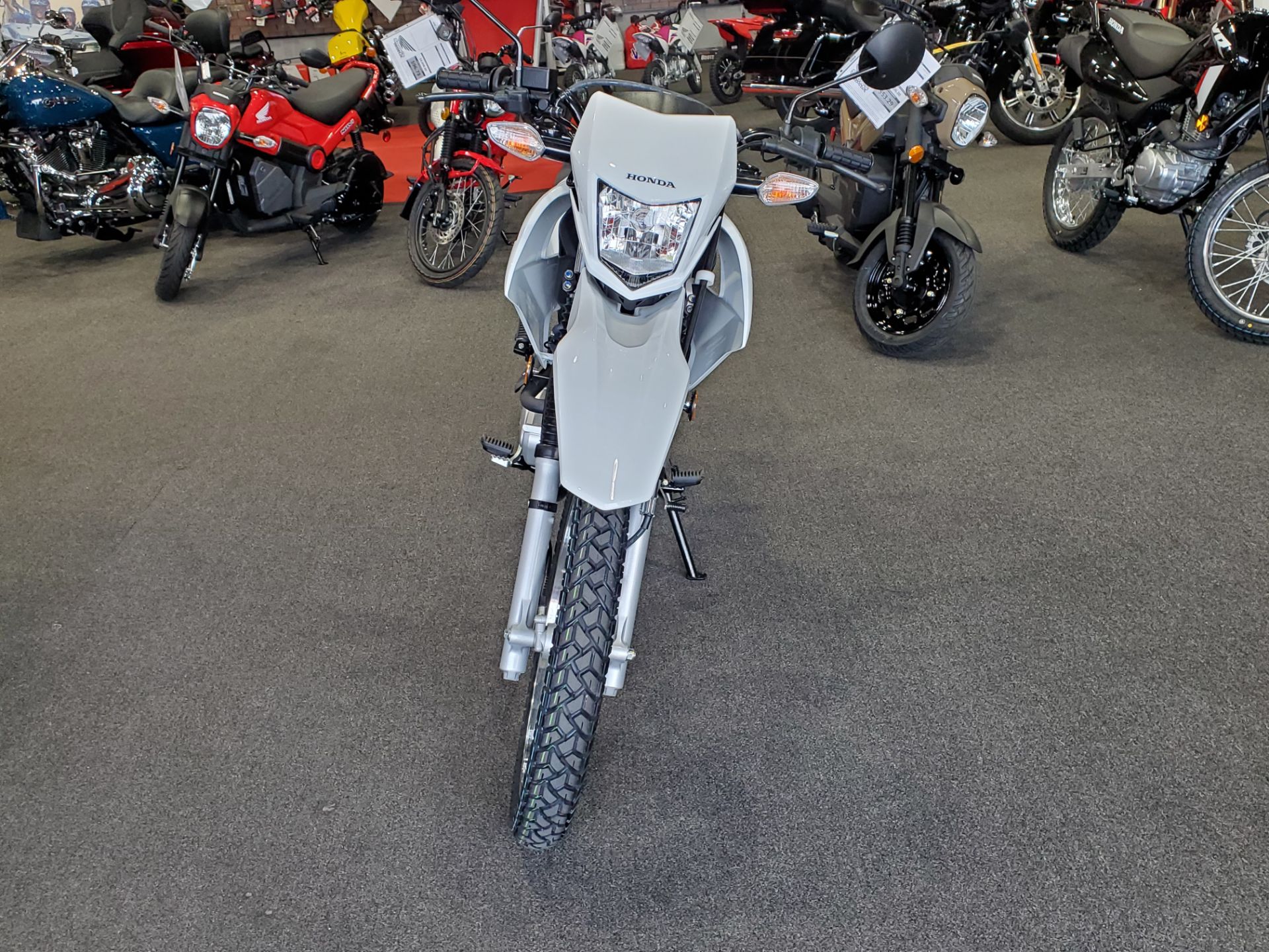 2024 Honda XR150L in Moon Township, Pennsylvania - Photo 4