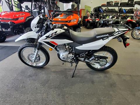 2024 Honda XR150L in Moon Township, Pennsylvania - Photo 1