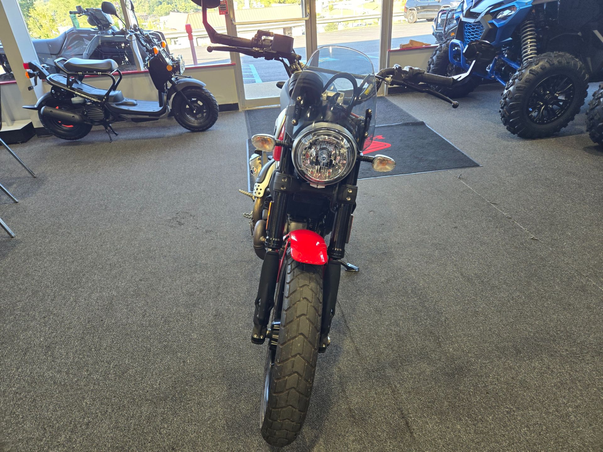 2016 Ducati Scrambler Icon in Moon Township, Pennsylvania - Photo 3