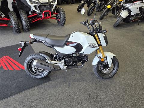 2025 Honda Grom in Moon Township, Pennsylvania