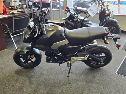 2025 Honda Grom SP in Moon Township, Pennsylvania