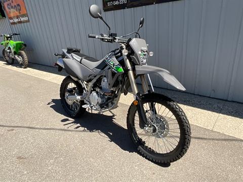 2024 Kawasaki KLX 300 in Howell, Michigan - Photo 3