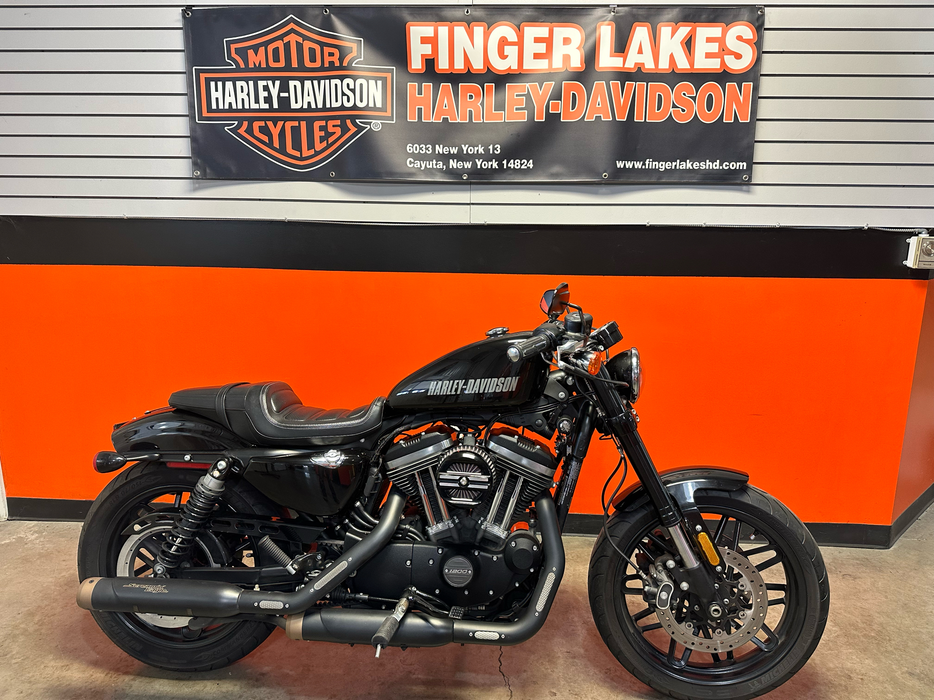 2016 Harley-Davidson Roadster™ in Cayuta, New York - Photo 1