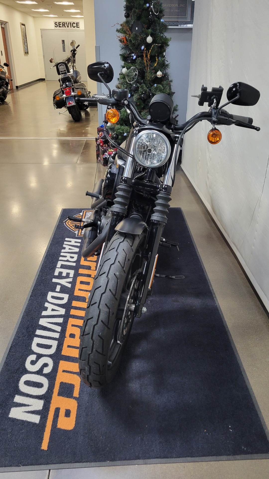 2019 Harley-Davidson Iron 883™ in Syracuse, New York - Photo 3