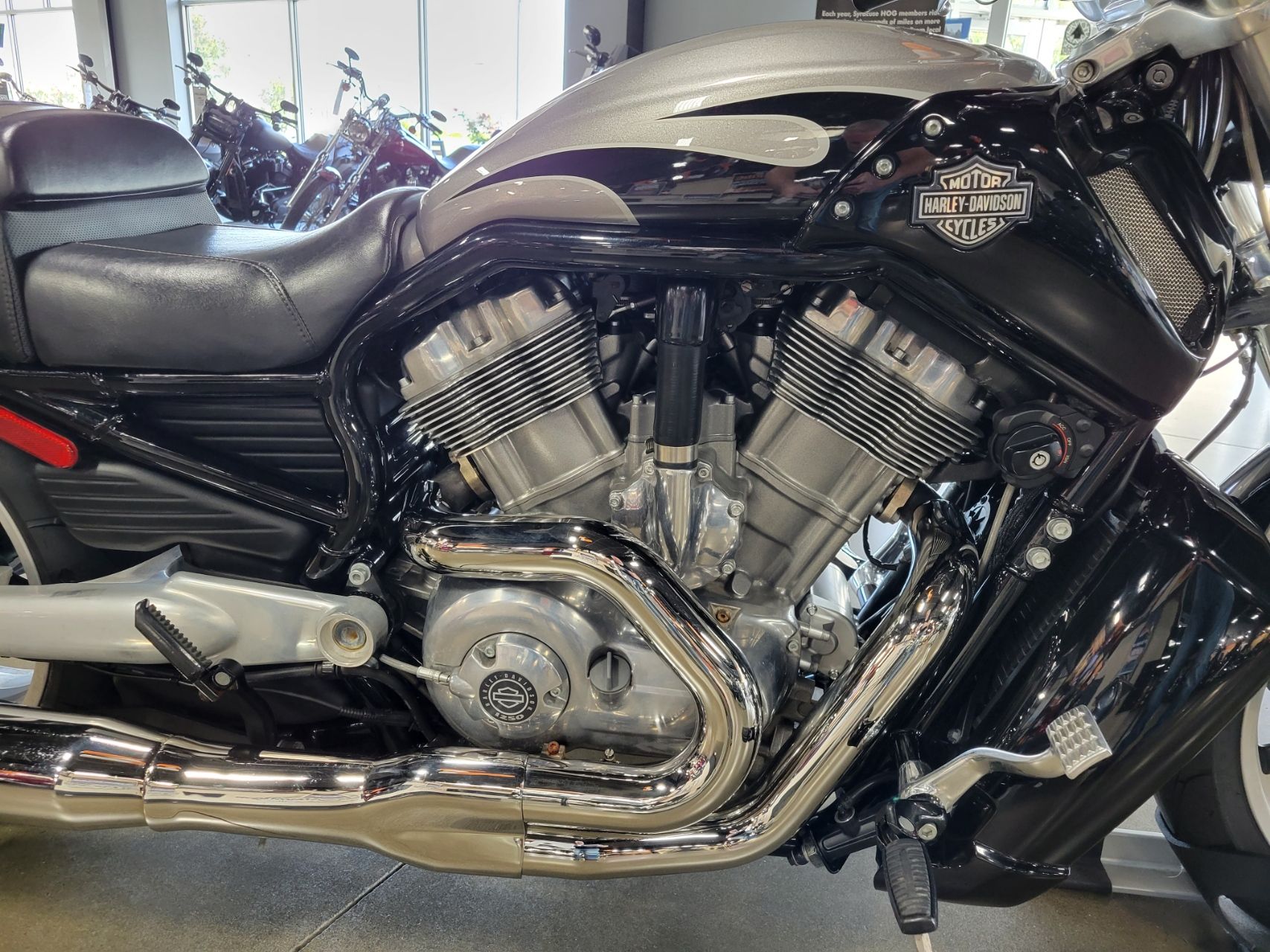 2016 Harley-Davidson V-Rod Muscle® in Syracuse, New York - Photo 3