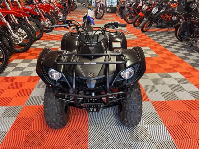 2009 Yamaha Grizzly 125 Automatic in Easton, Maryland - Photo 4