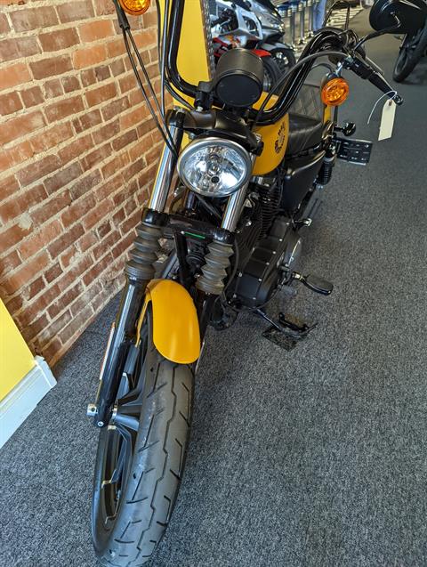 2019 Harley-Davidson Iron 883™ in Ashland, Kentucky - Photo 3