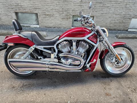 2005 Harley-Davidson VRSCA V-Rod® in Ashland, Kentucky
