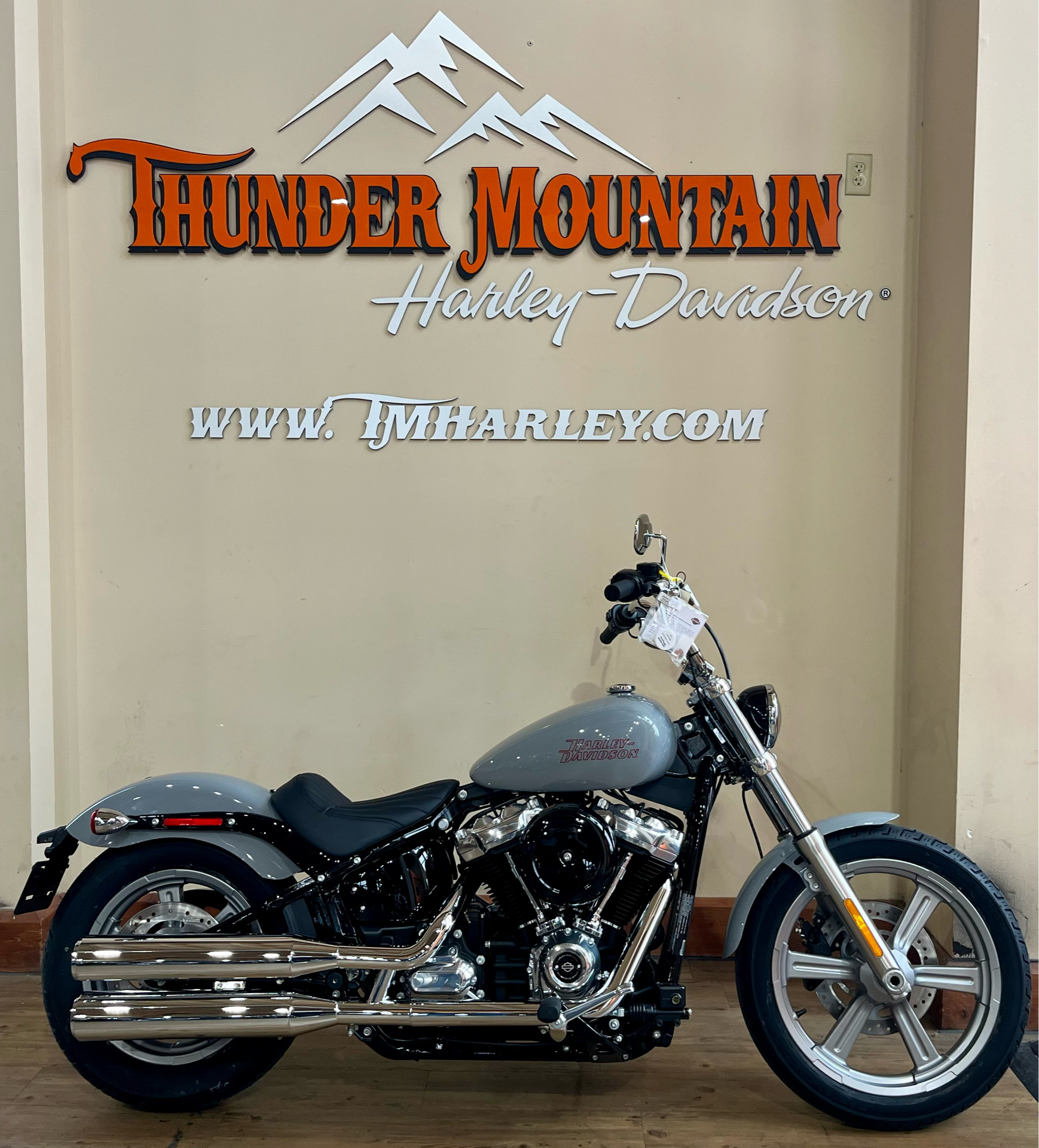 2024 Harley-Davidson Softail® Standard in Loveland, Colorado - Photo 1