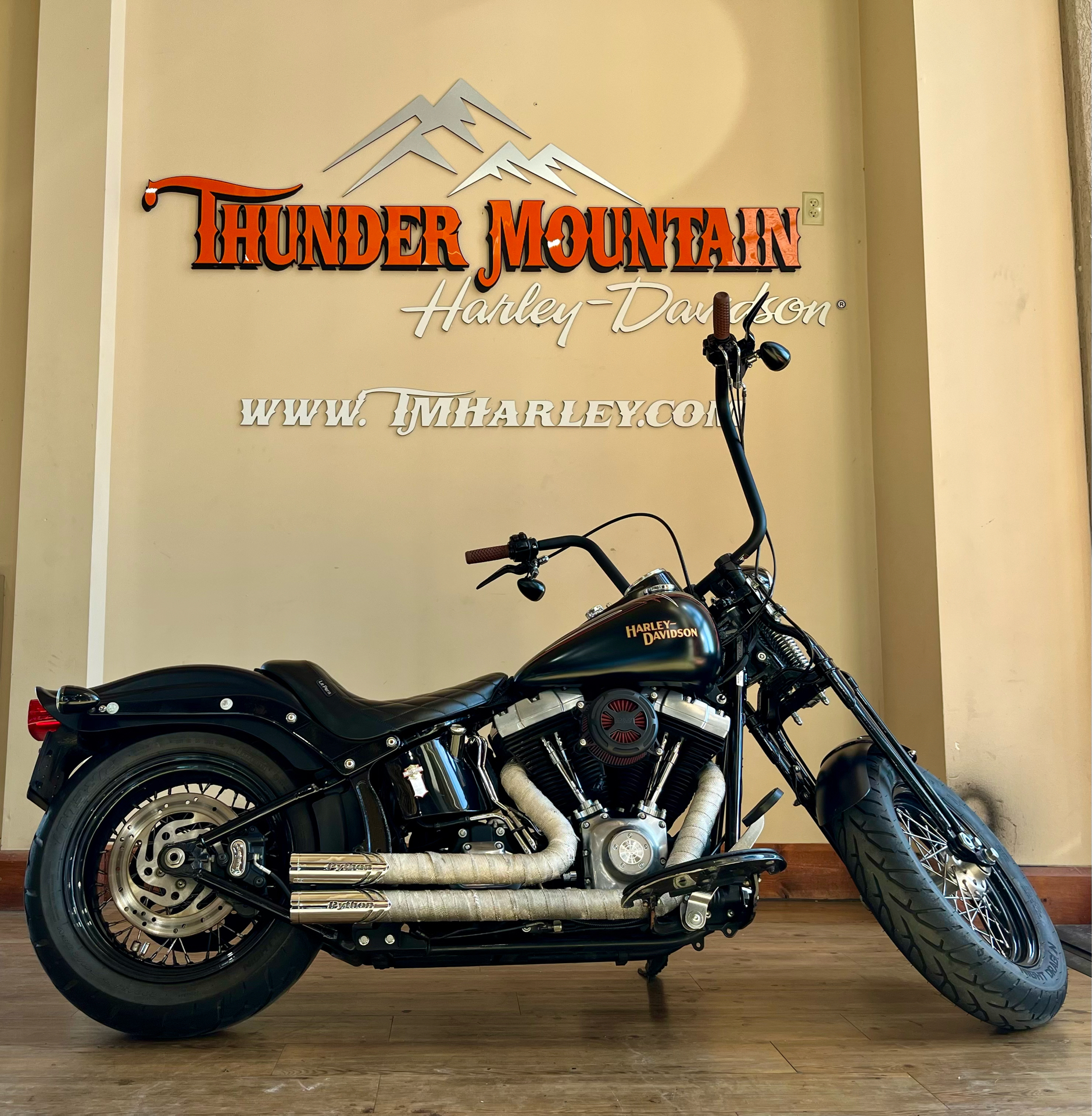 2008 Harley-Davidson Softail® Cross Bones™ in Loveland, Colorado - Photo 1