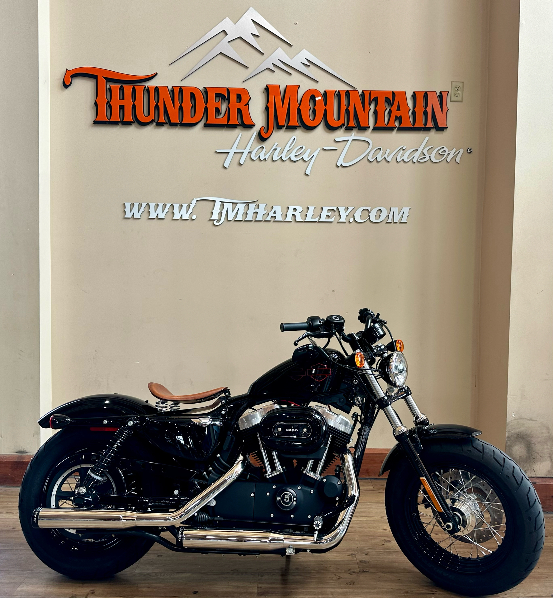 2015 Harley-Davidson Forty-Eight® in Loveland, Colorado - Photo 1