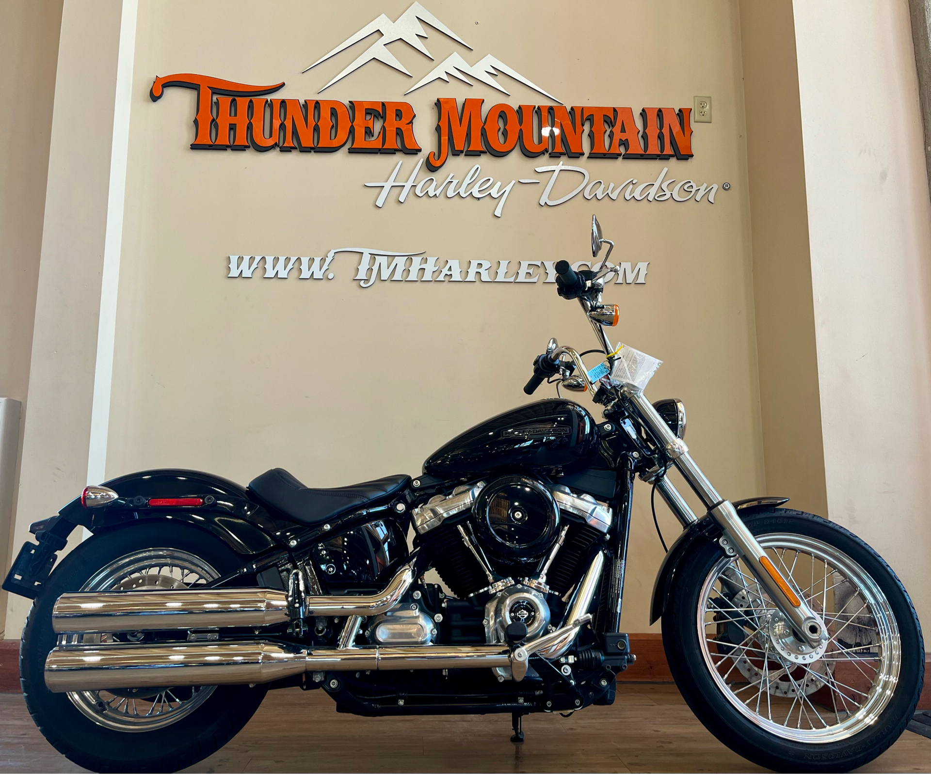 2021 Harley-Davidson Softail® Standard in Loveland, Colorado - Photo 1