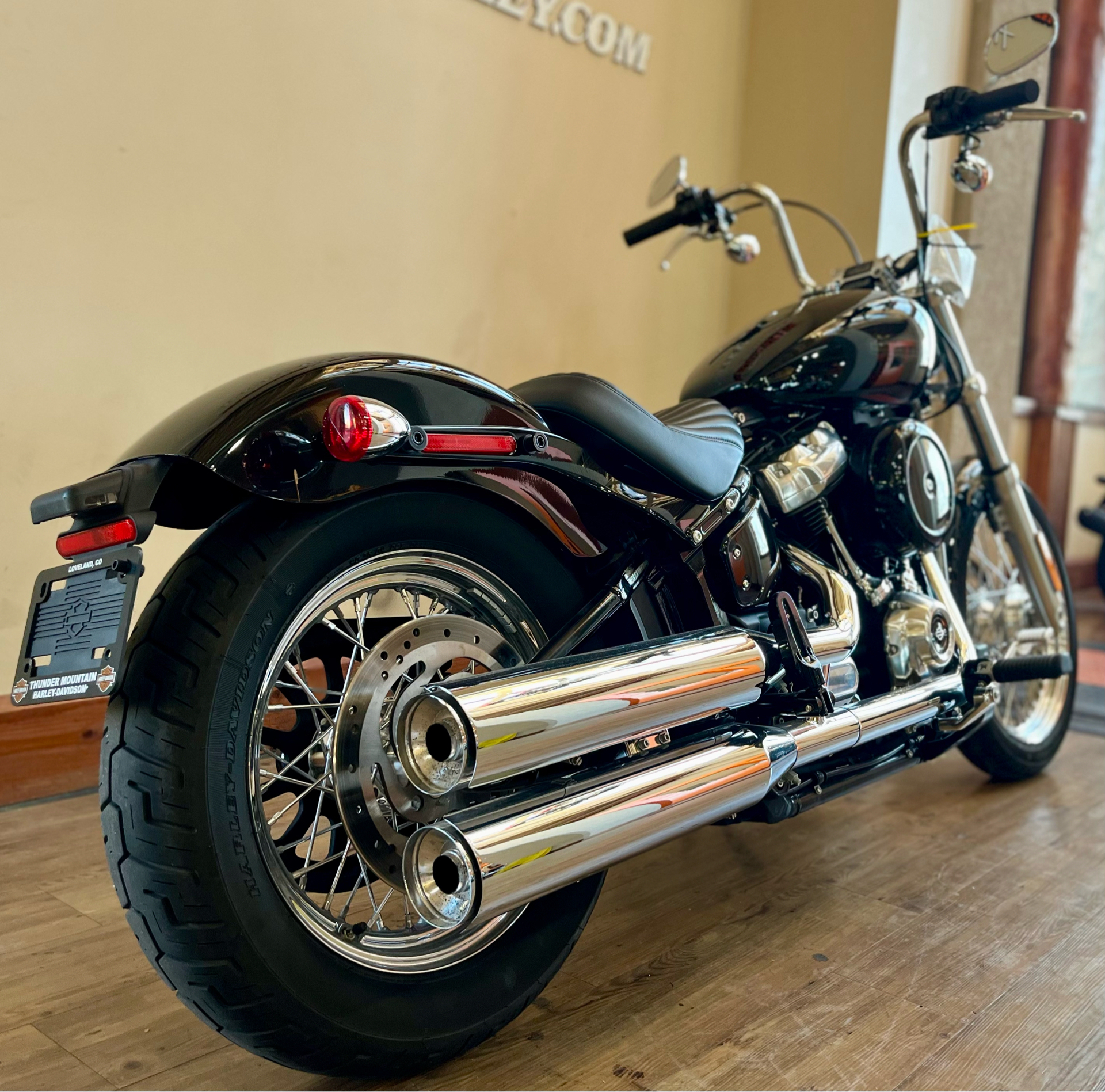 2021 Harley-Davidson Softail® Standard in Loveland, Colorado - Photo 3