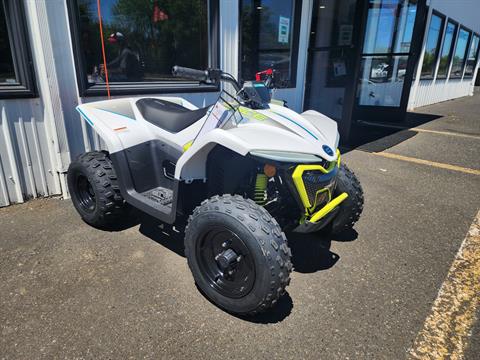 2024 CFMOTO CForce EV110 in Saint Helens, Oregon - Photo 4