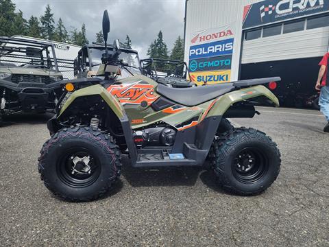 2024 Kayo Bull 300 EFI in Saint Helens, Oregon - Photo 1