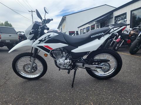 2024 Honda XR150L in Saint Helens, Oregon - Photo 1