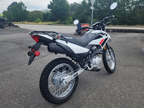 2024 Honda XR150L in Saint Helens, Oregon - Photo 5