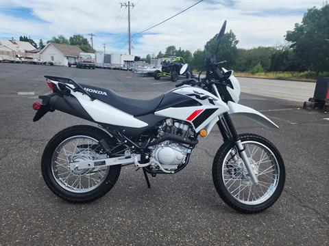 2024 Honda XR150L in Saint Helens, Oregon - Photo 4