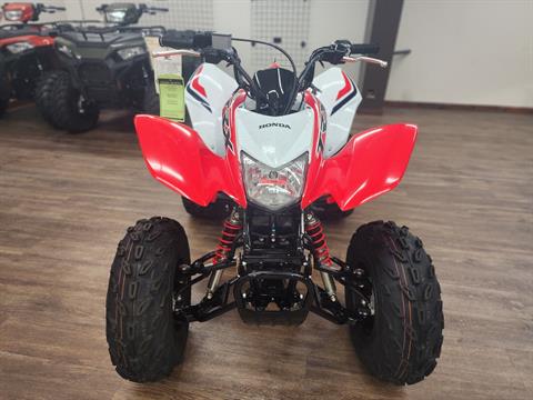 2024 Honda TRX250X in Saint Helens, Oregon - Photo 3