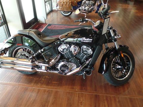2023 Indian Motorcycle Scout® in Waynesville, North Carolina - Photo 1