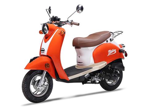 2021 Wolf Brand Scooters Islander in Coloma, Michigan