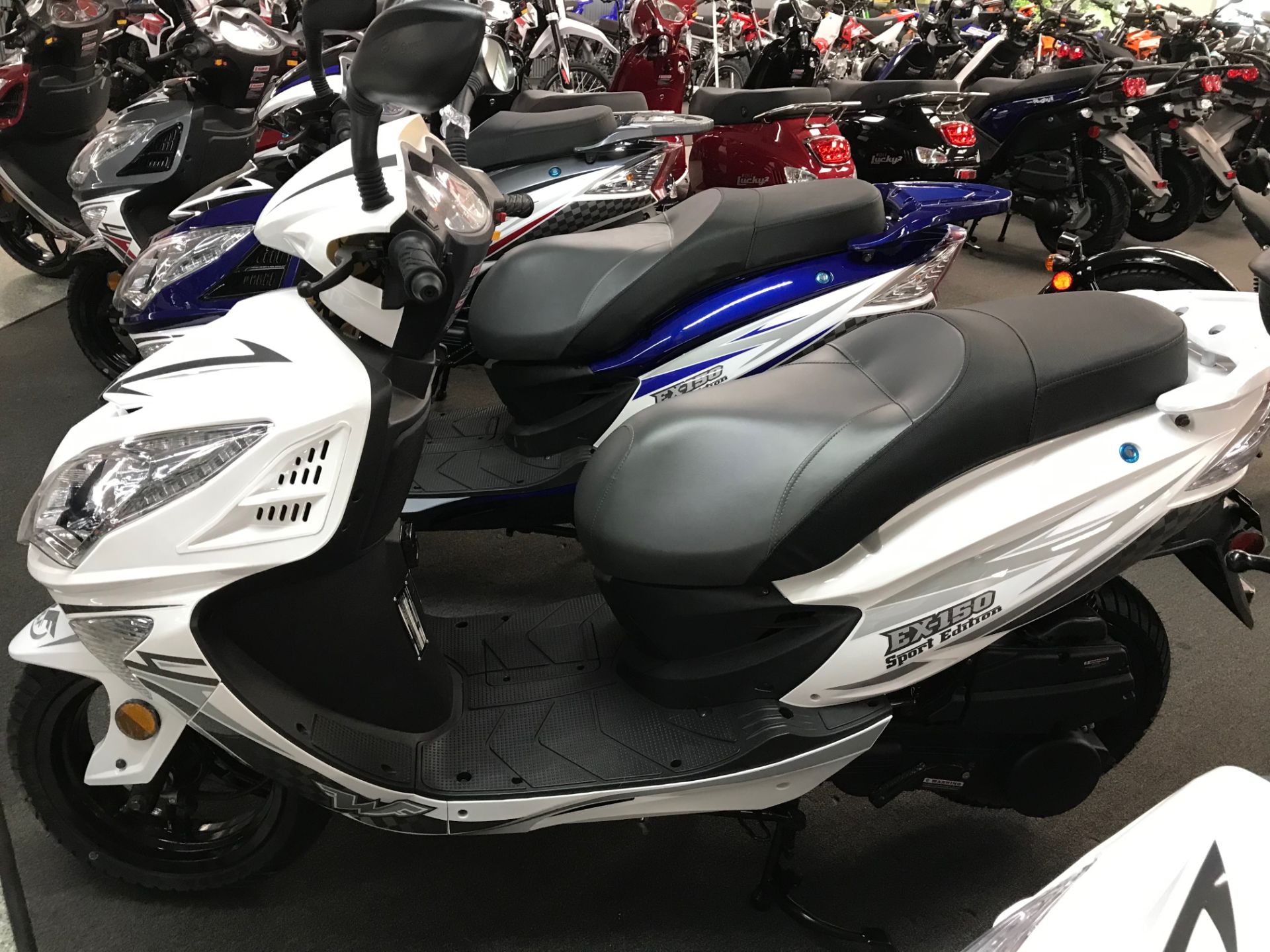2022 Wolf Brand Scooters EX-150 Sport in Coloma, Michigan - Photo 8