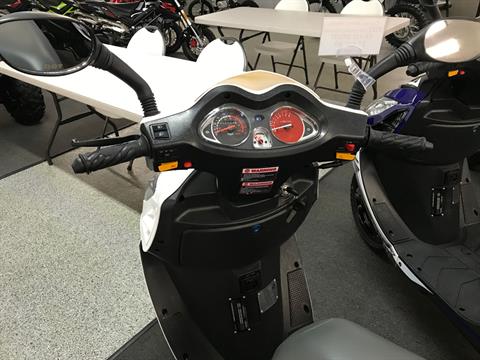 2022 Wolf Brand Scooters EX-150 Sport in Coloma, Michigan - Photo 9