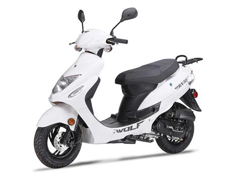2021 Wolf Brand Scooters RX-50 in Coloma, Michigan