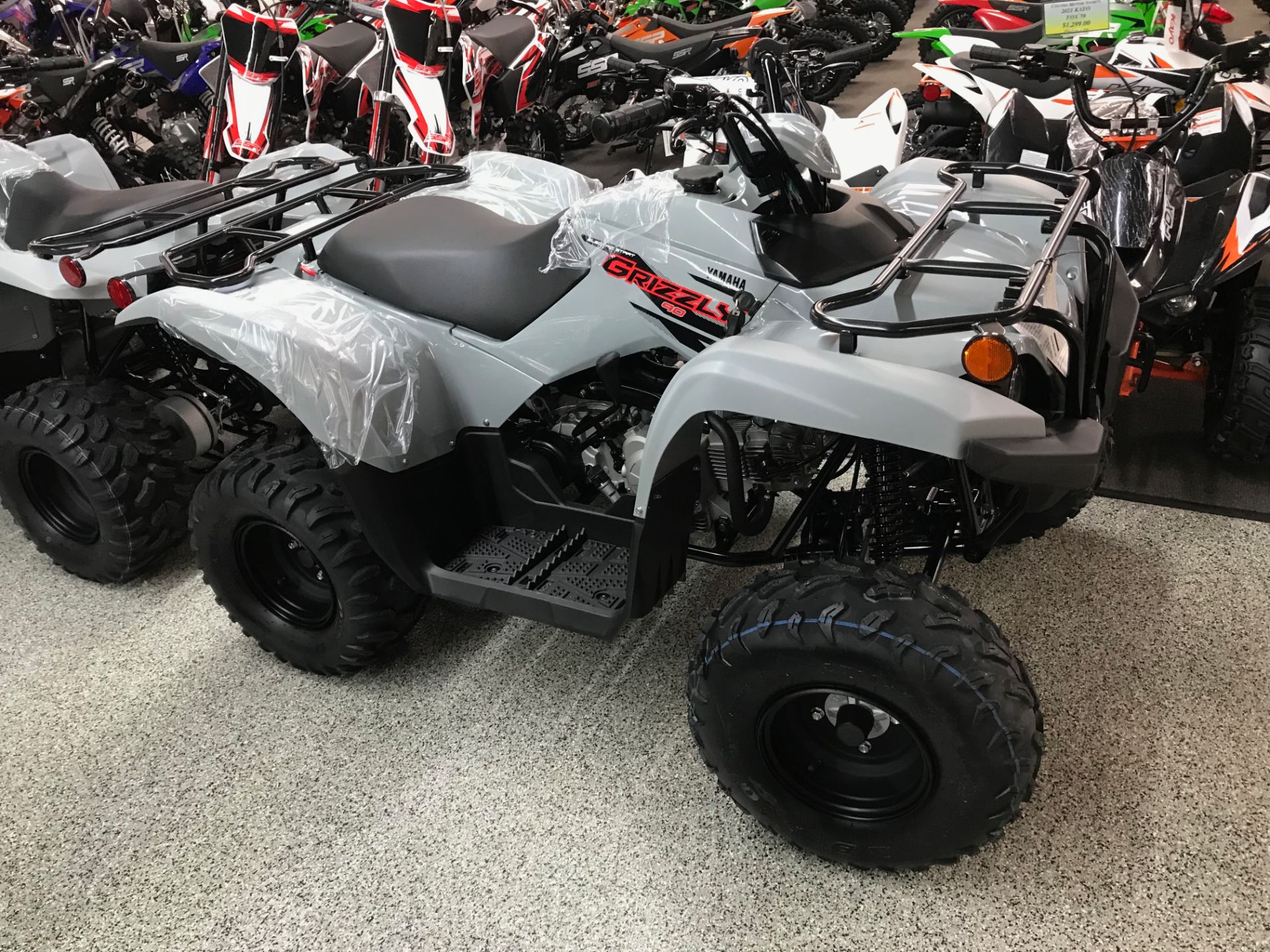 2022 Yamaha Grizzly 90 in Coloma, Michigan - Photo 2