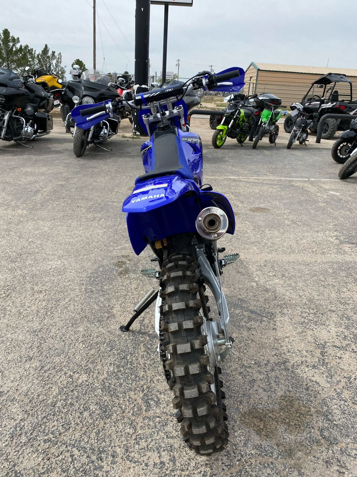 2023 Yamaha TT-R230 in Odessa, Texas - Photo 4