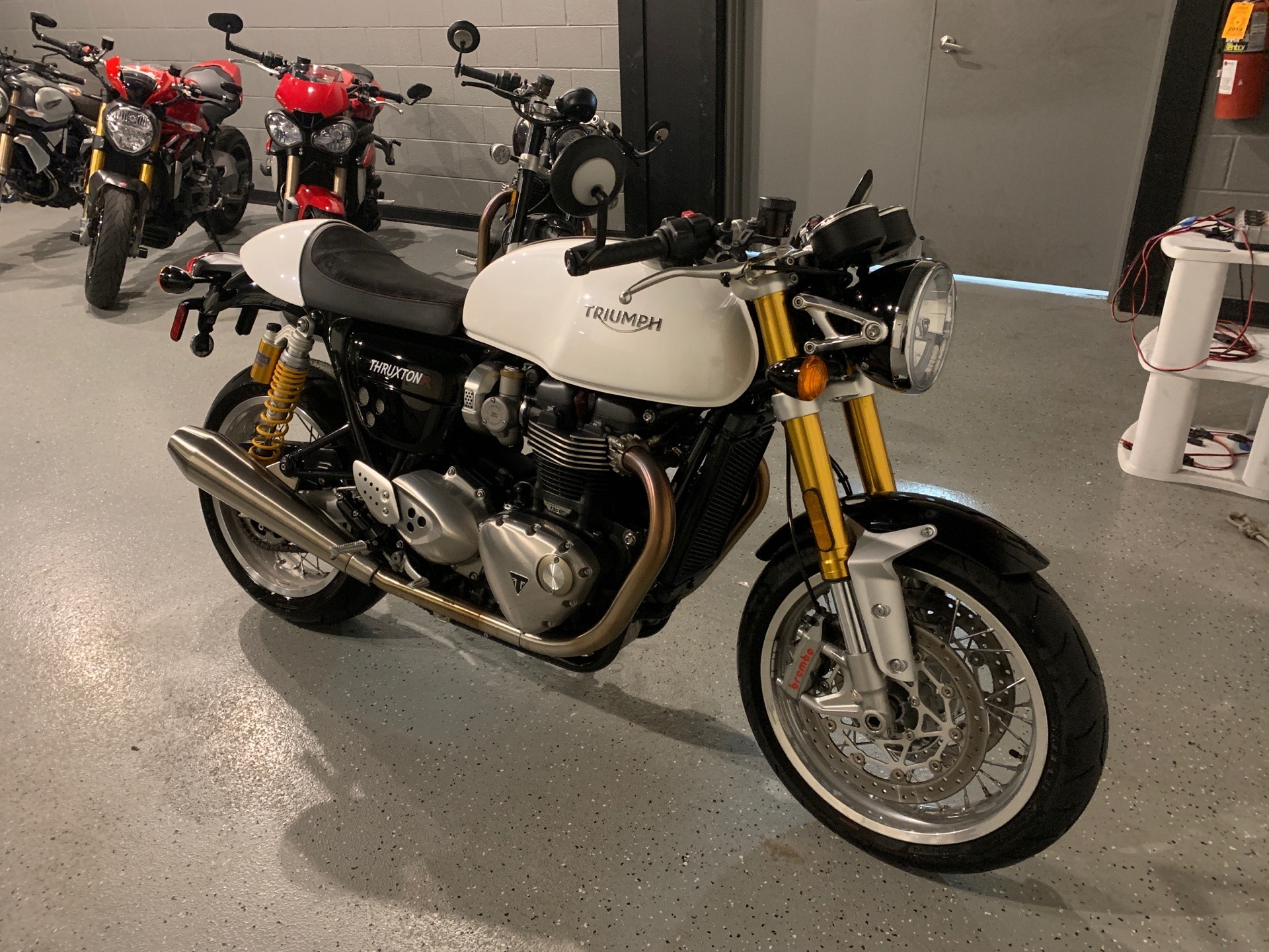 used triumph thruxton