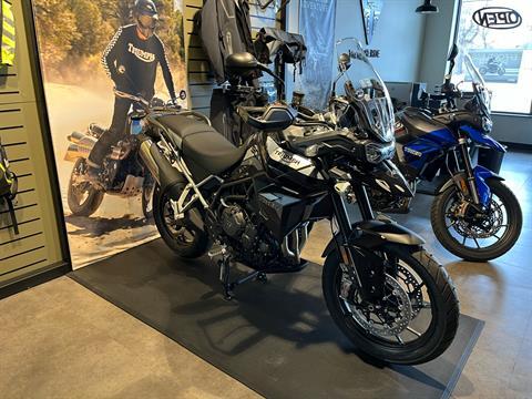 2022 Triumph Tiger 900 GT Pro in Shelby Township, Michigan - Photo 1