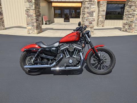 2013 Harley-Davidson Sportster® Iron 883™ in Muncie, Indiana - Photo 1