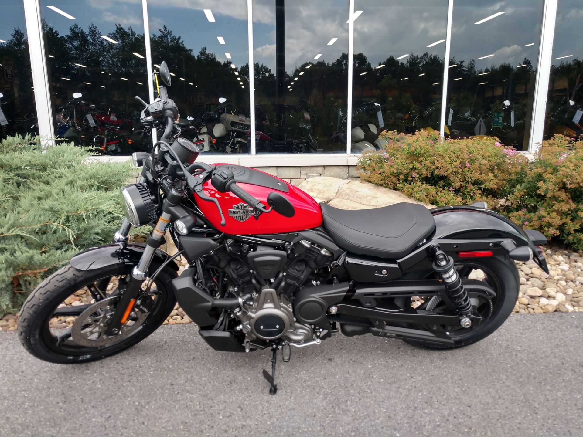 2023 Harley-Davidson Nightster® in Duncansville, Pennsylvania - Photo 2