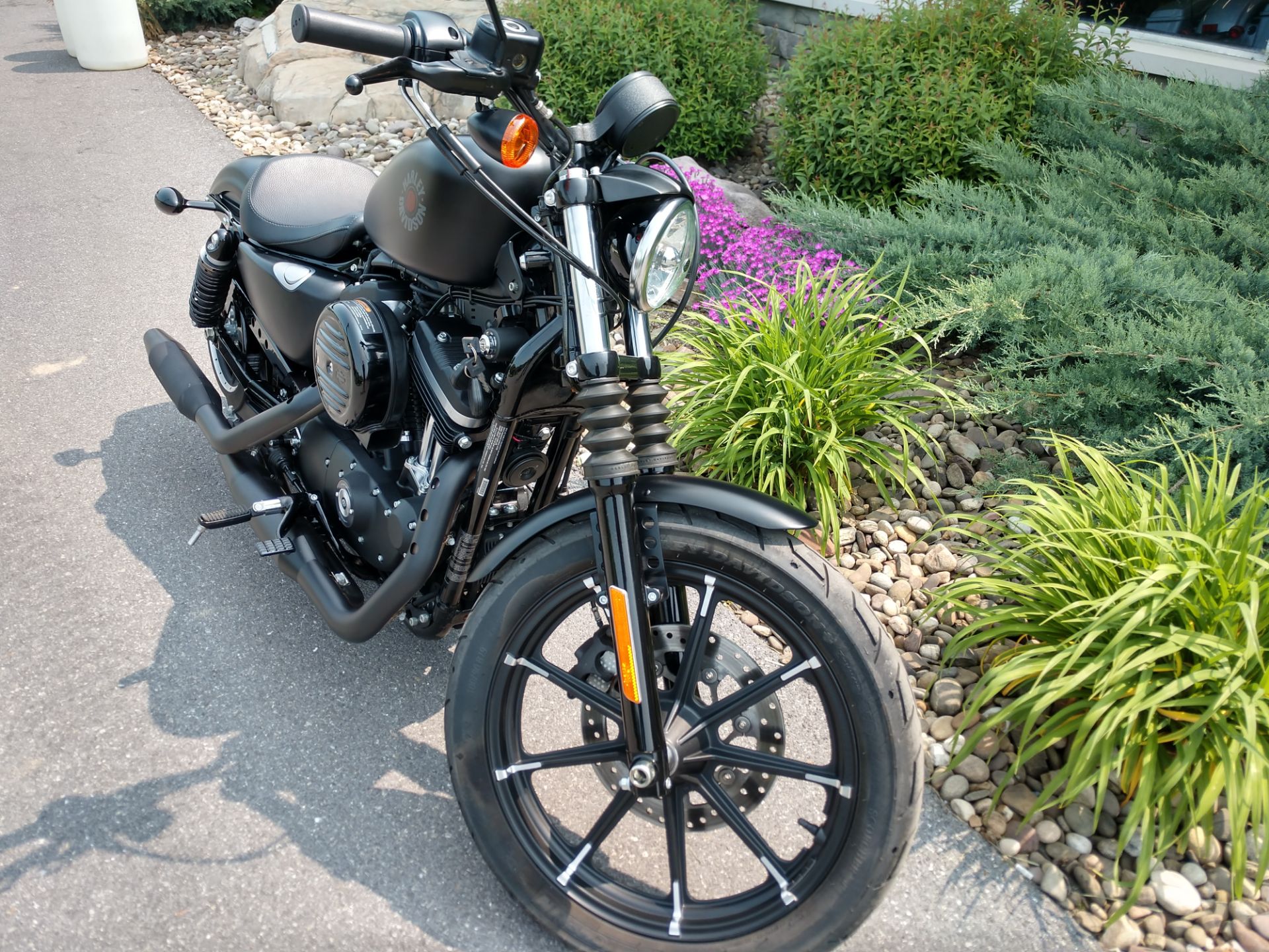2020 Harley-Davidson Iron 883™ in Duncansville, Pennsylvania - Photo 3