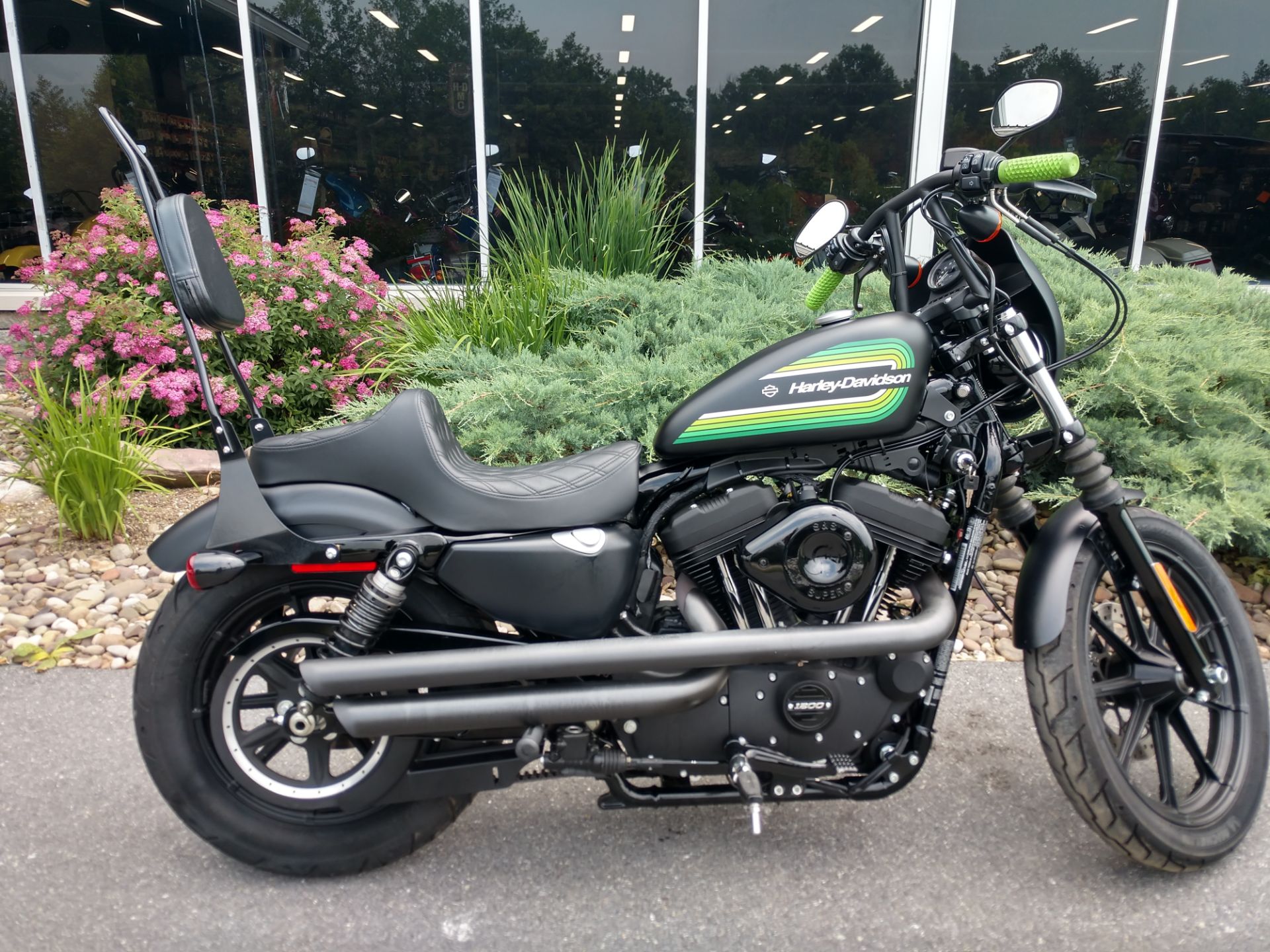 2021 Harley-Davidson Iron 1200™ in Duncansville, Pennsylvania - Photo 1