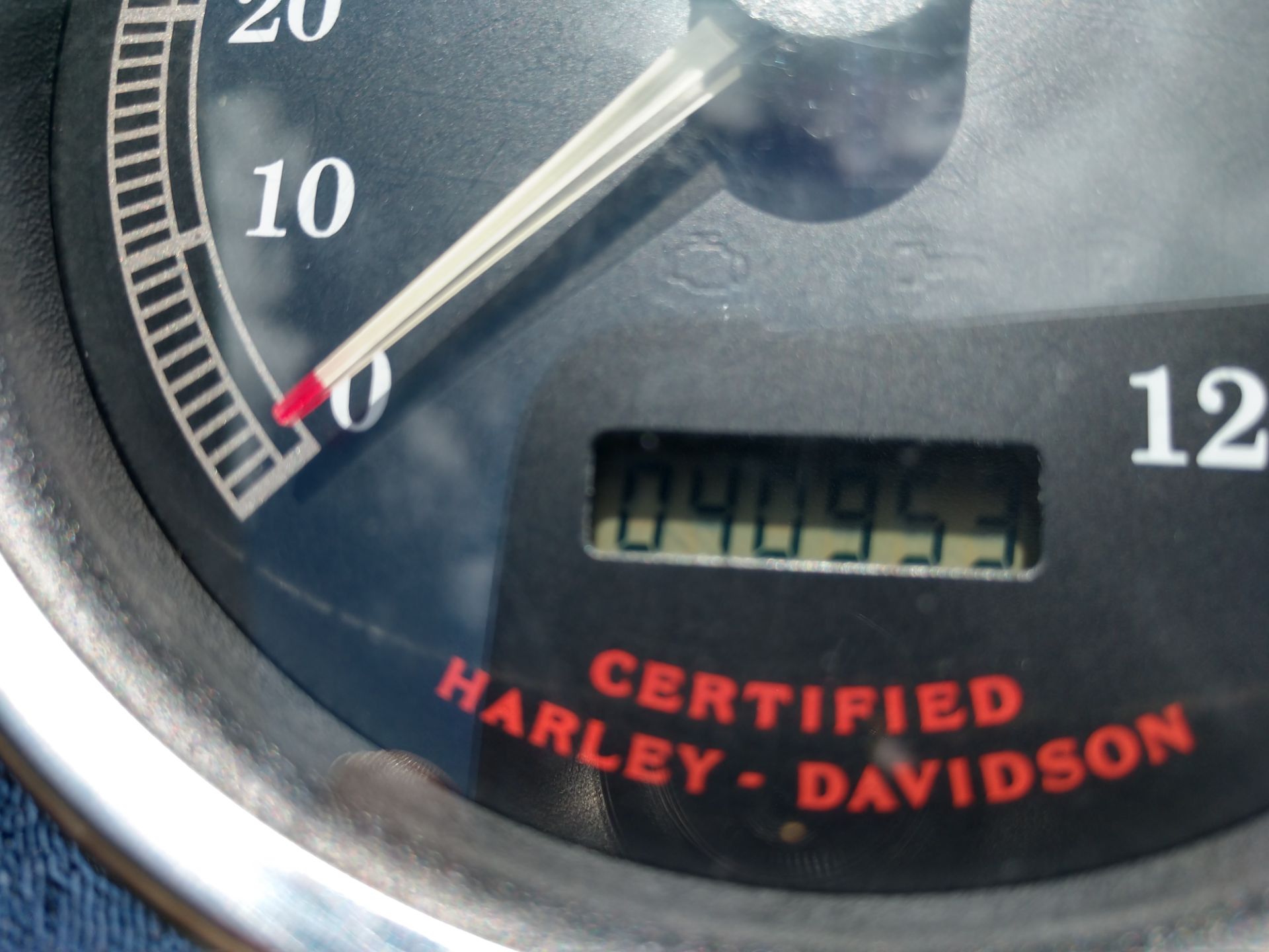 2001 Harley-Davidson FXST/FXSTI Softail® Standard in Duncansville, Pennsylvania - Photo 5