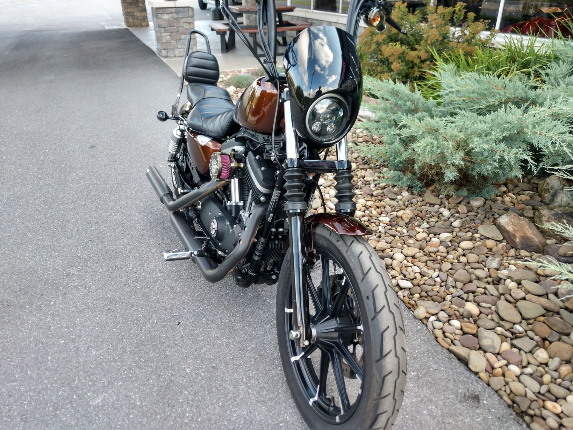 2016 Harley-Davidson Iron 883™ in Duncansville, Pennsylvania - Photo 3