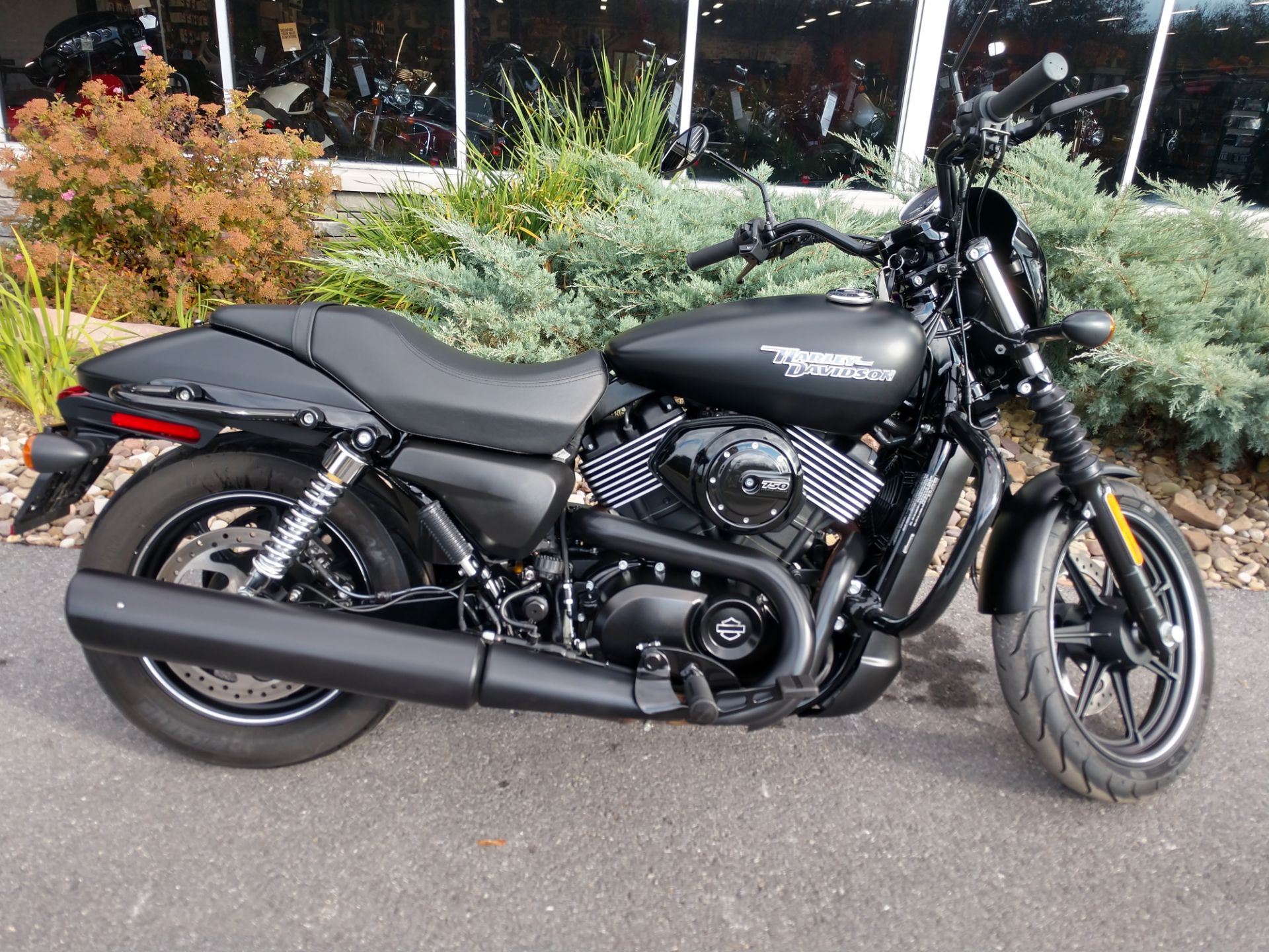 2017 Harley-Davidson Street® 750 in Duncansville, Pennsylvania - Photo 1