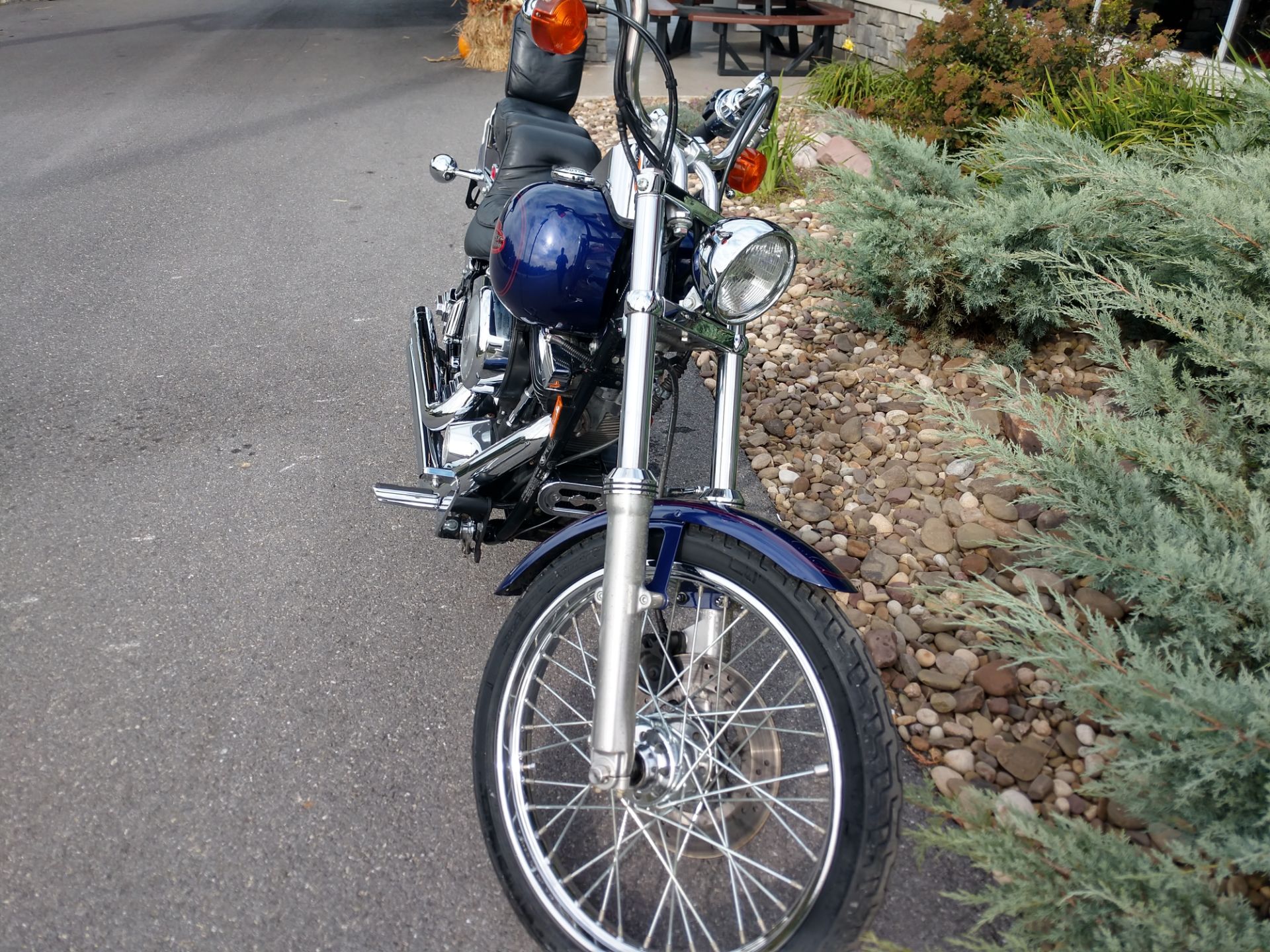 1999 Harley-Davidson FXSTC Softail® Custom in Duncansville, Pennsylvania - Photo 3