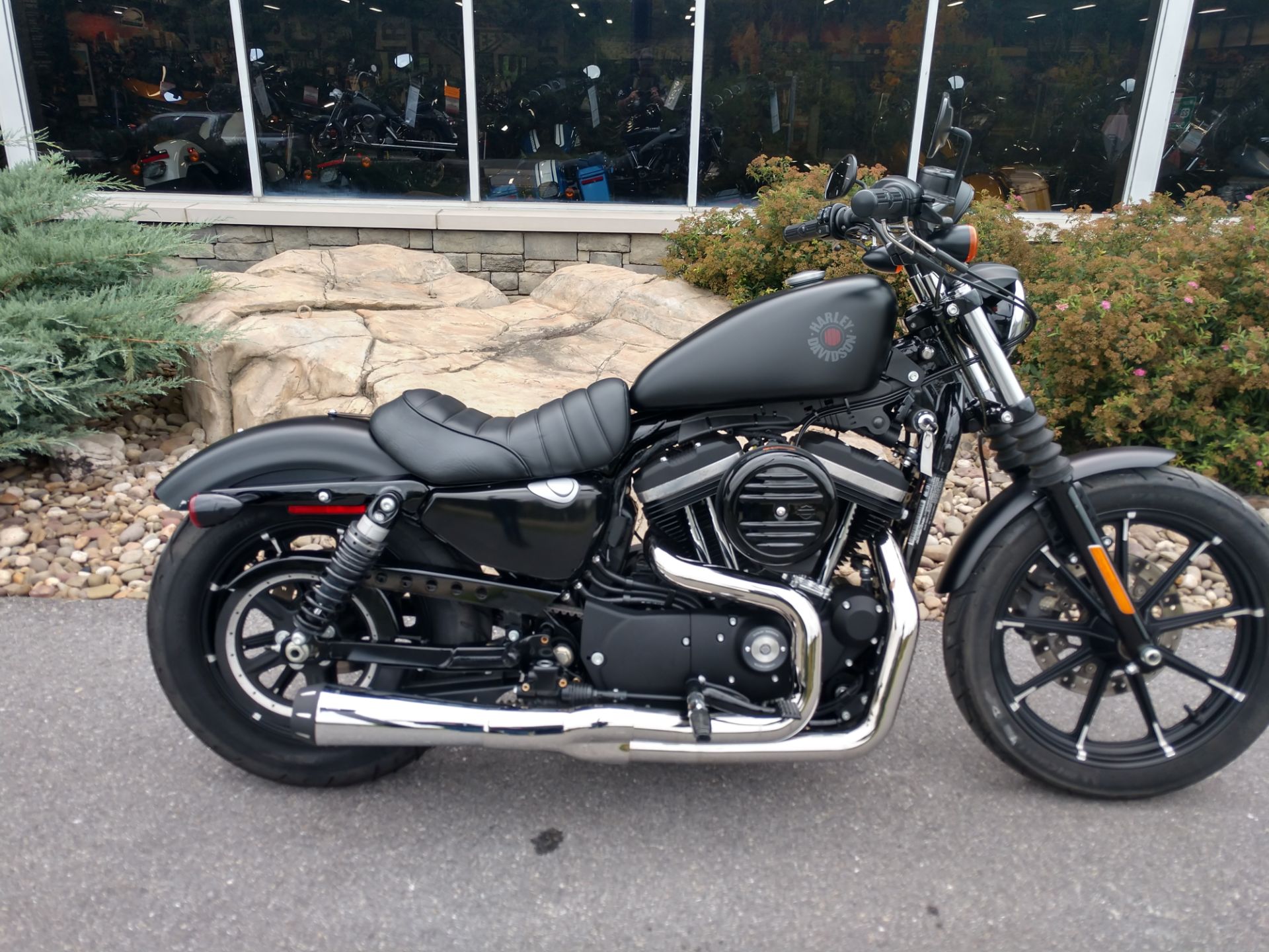 2021 Harley-Davidson Iron 883™ in Duncansville, Pennsylvania - Photo 1