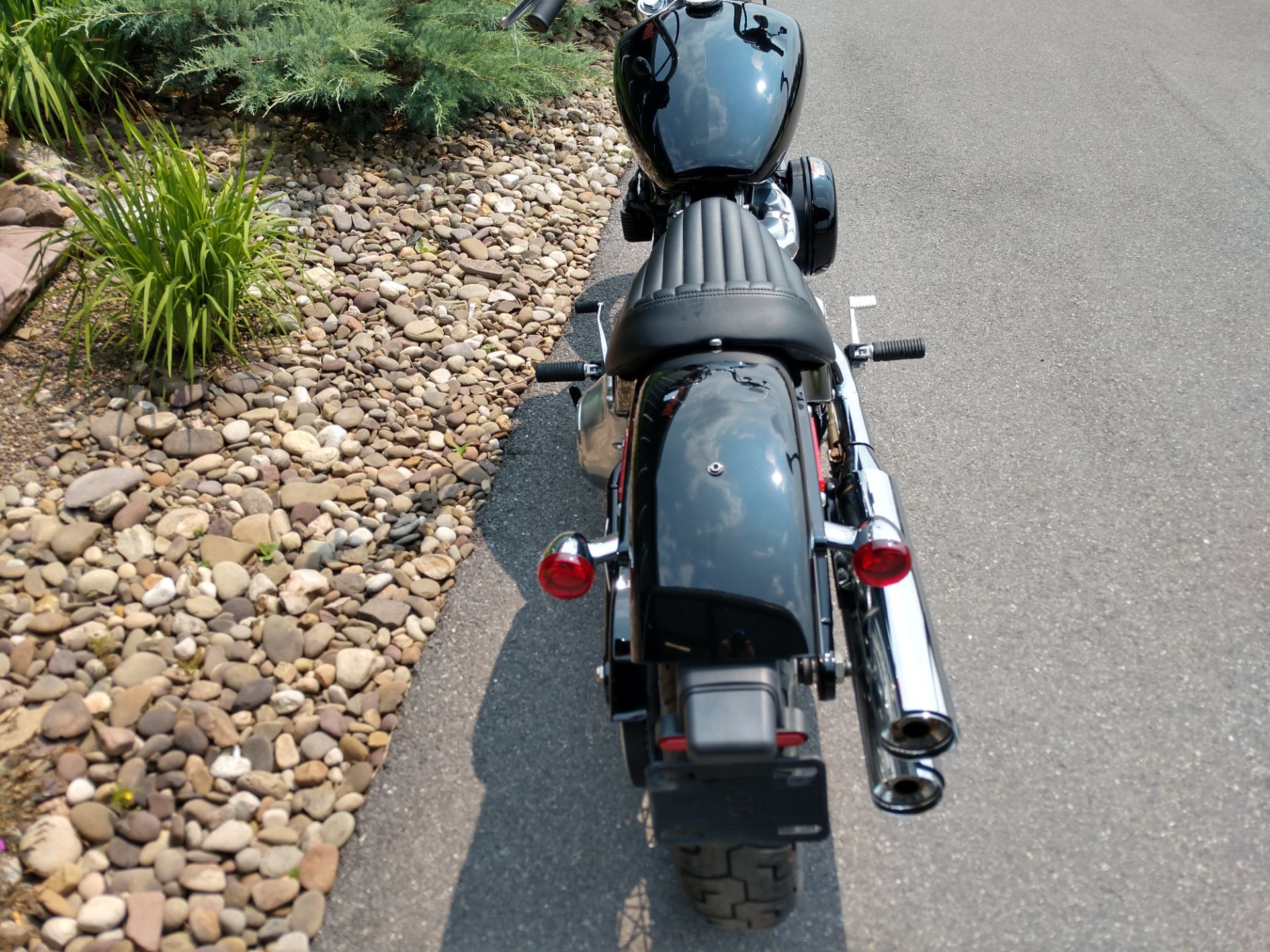 2020 Harley-Davidson Softail® Standard in Duncansville, Pennsylvania - Photo 4
