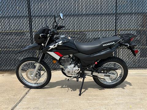 2024 Honda XR150L in Greenville, Texas - Photo 3